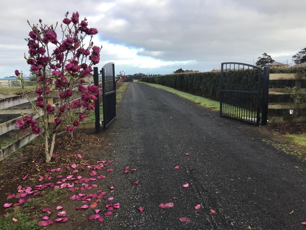 Self Contained Cottage Pukekohe Auckland Buitenkant foto